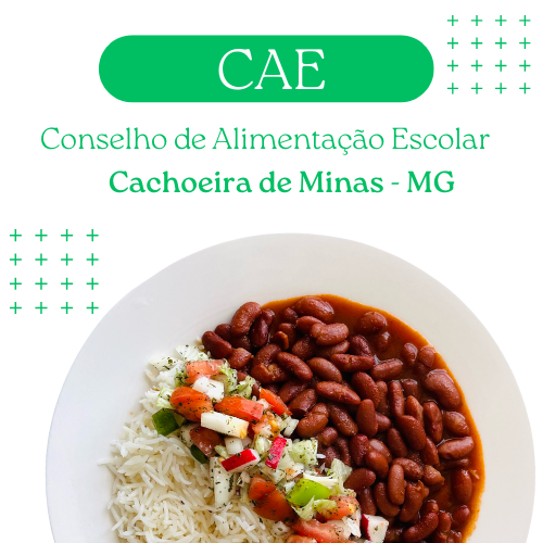 CAE - Conselho de Alimentação Escolar